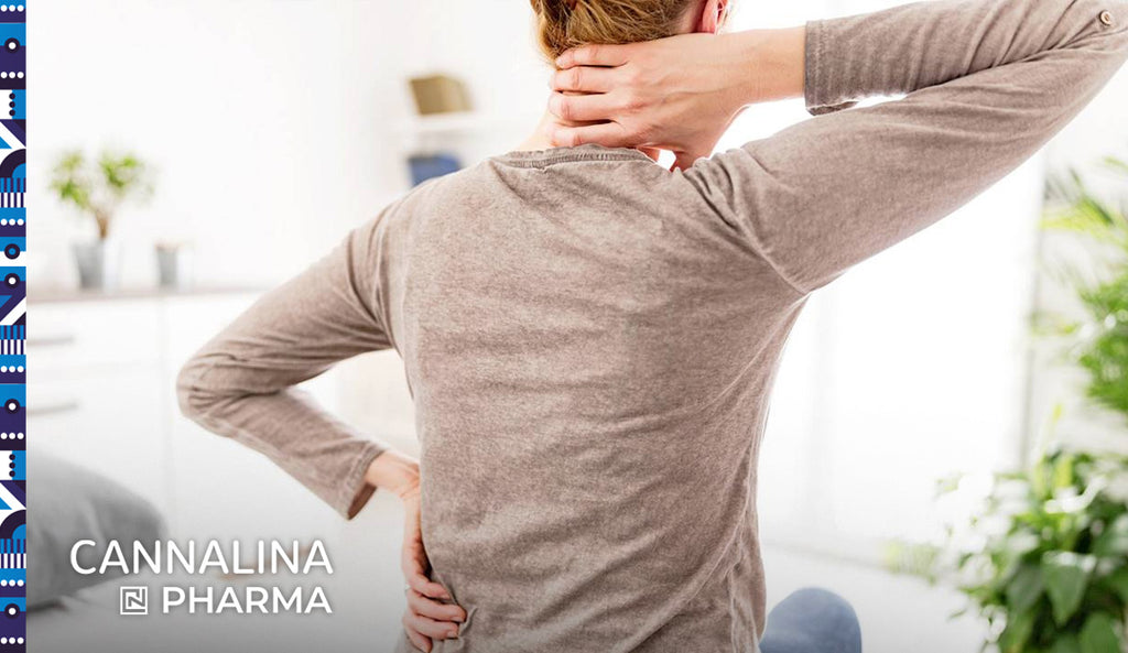 ¿Puede el CBD ayudar con los síntomas de fibromialgia?